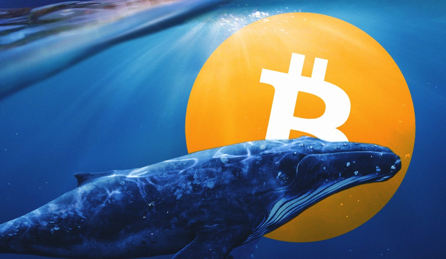 Một cá voi giàu nhất thứ 34 thị trường vừa di chuyển 414 triệu đô la Bitcoin