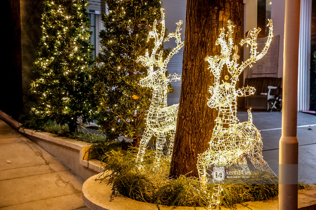 Khu nhà giàu ở Quận 7 decor Noel: Nhà nào cũng đua nhau khoe độ giàu có, riêng biệt thự Cường Đô La đơn giản bất ngờ
