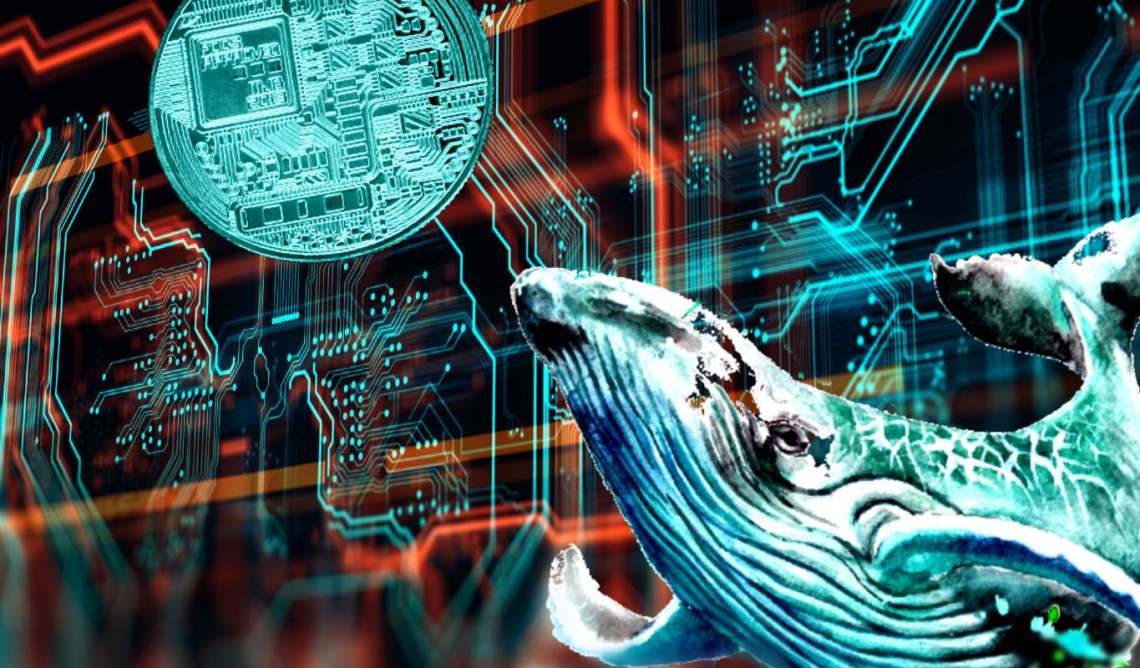 Michaël van de Poppe đưa ra dự đoán về cuộc biểu tình lớn khi cá voi Tether di chuyển 374 triệu USDT