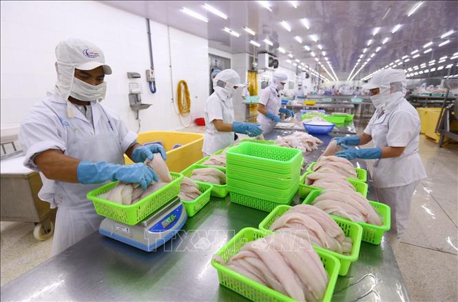 Cần Thơ mở cửa cho doanh nghiệp một số lĩnh vực hoạt động trở lại từ ngày 18/9