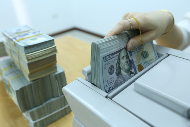 Kho bạc Nhà nước tăng mua ngoại tệ, tiếp tục bơm gần 5.700 tỷ đồng ra thị trường