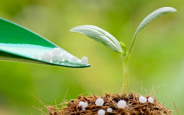 Sau quý lãi kỷ lục, tồn kho doanh nghiệp phân bón đồng loạt giảm