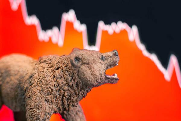 Nhà đầu tư nên để tiền vào đâu trong thị trường gấu?