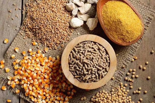 Doanh nghiệp sản xuất TACN ứng phó ra sao với cơn bão giá nguyên liệu?