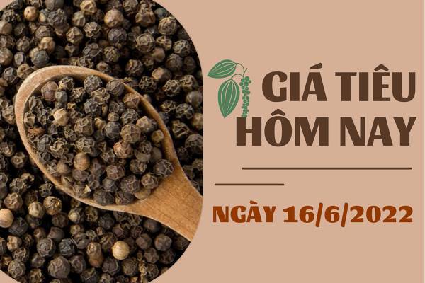 Giá tiêu hôm nay 16/6: Tiếp đà tăng nhẹ; cao su TOCOM giảm 1%