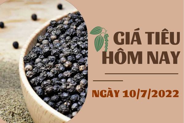 Giá tiêu hôm nay 10/7: Thị trường ít biến động trong tuần qua