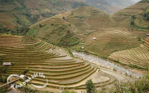 Khách Tây tận hưởng Việt Nam bằng 