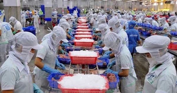 Nam Việt (ANV): Quý II/2022, lợi nhuận tăng 913,9% lên 240,69 tỷ đồng nhờ sản lượng và giá bán đều tăng