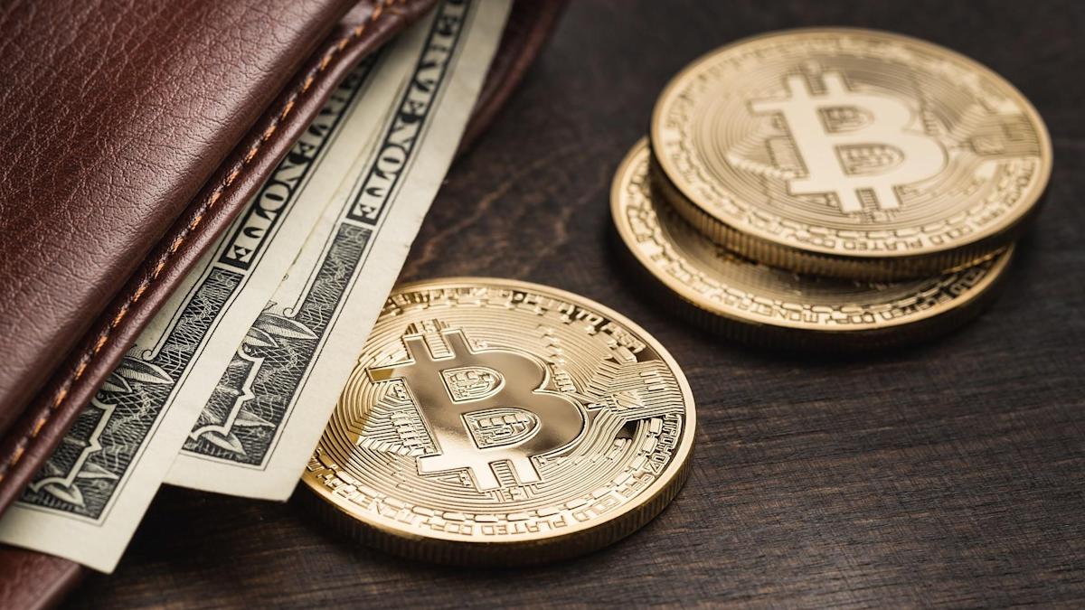 Số lượng Wholecoiner Bitcoin tăng 40.000 kể từ khi giá bắt đầu sụp đổ vào tháng 6