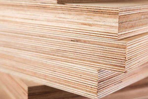 Nếu gỗ dán Việt Nam dùng nguyên liệu Trung Quốc sẽ bị Mỹ áp thuế CBPG, CTC lên gần 195%