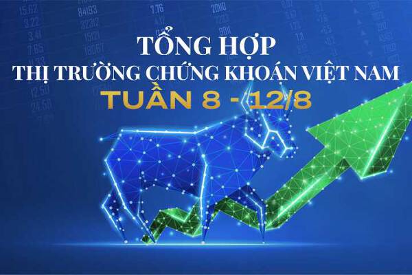 Tổng hợp thị trường chứng khoán Việt Nam tuần 8 - 12/8