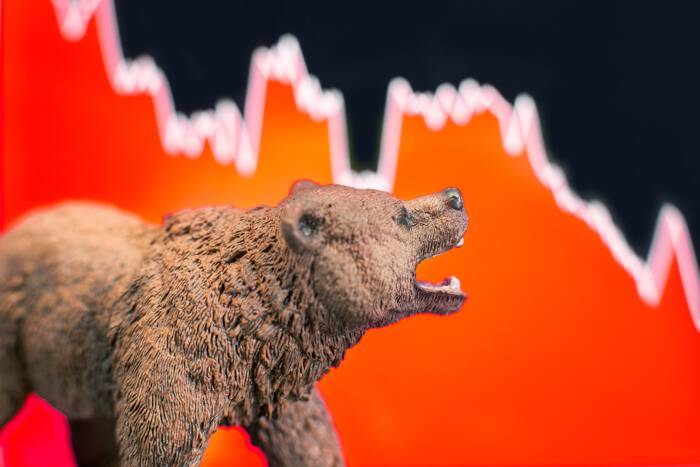 Nhà đầu tư nên để tiền vào đâu trong thị trường gấu?