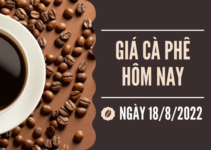 Giá cà phê hôm nay 18/8: Giảm nhẹ 100 đồng/kg tại các tỉnh trọng điểm