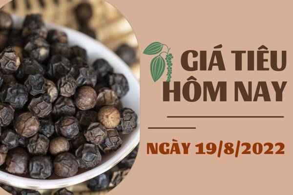 Giá tiêu hôm nay 19/8: Không có biến động mới; cao su giảm nhẹ dưới 1%