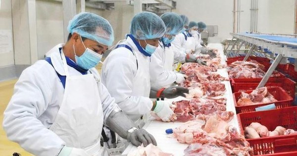 Nông nghiệp BaF Việt Nam (BAF) muốn góp vốn vào 8 công ty con và cho 2 công ty con vay vốn kỳ hạn 5 năm