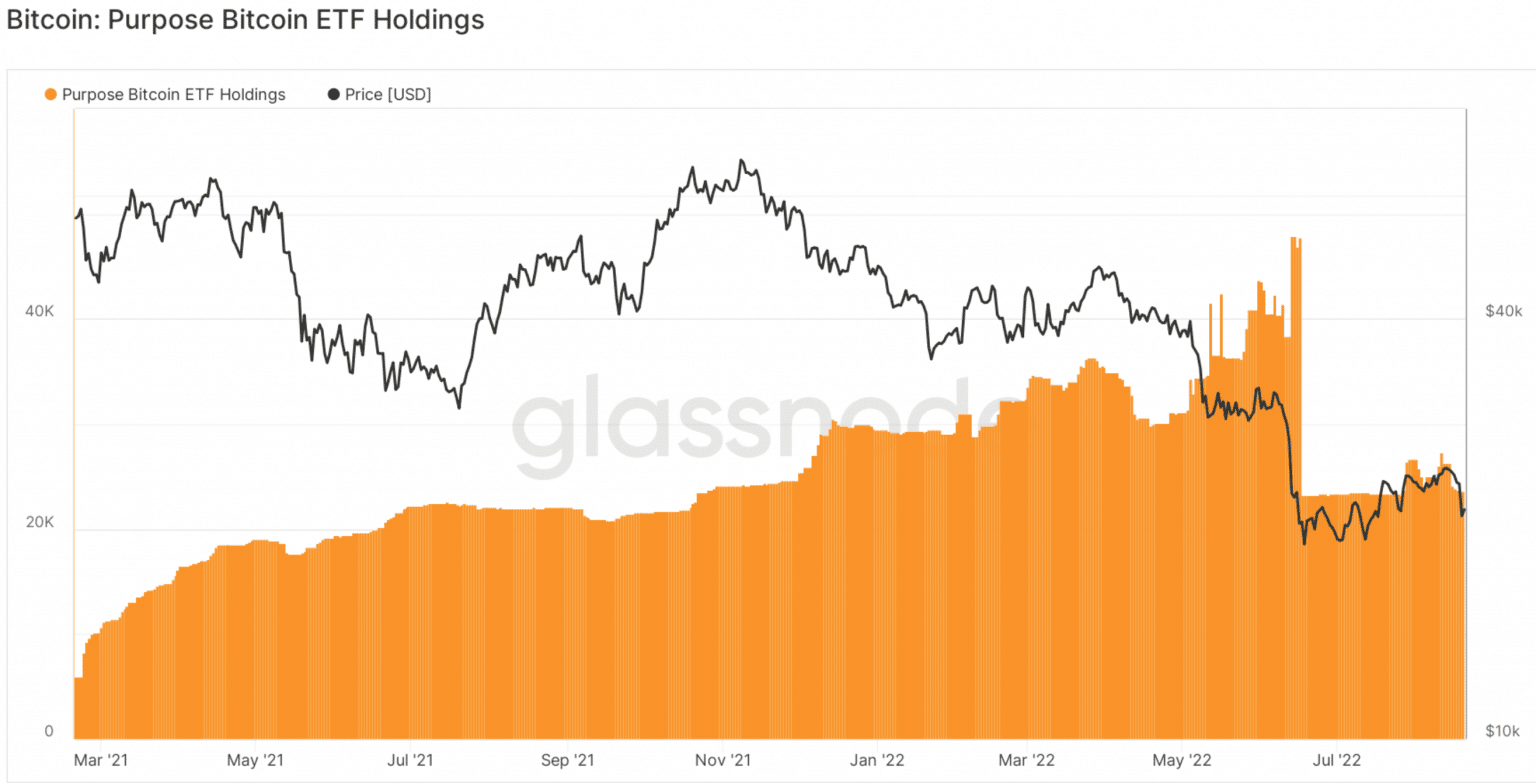 Giá Coin hôm nay 22/08: Bitcoin đóng cửa tuần dưới $ 22.000, altcoin giảm điểm khi Phố Wall lo ngại Fed tiếp tục tăng lãi suất