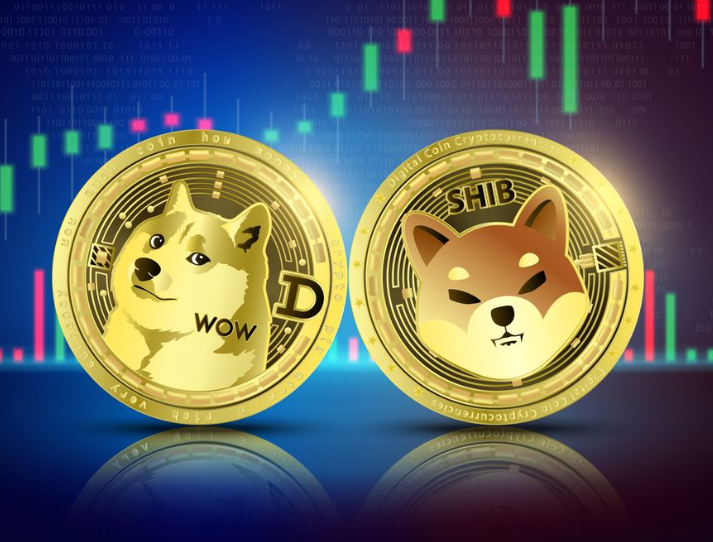 DOGE và SHIB, meme coin nào sẽ hoạt động tốt hơn trong thời gian tới