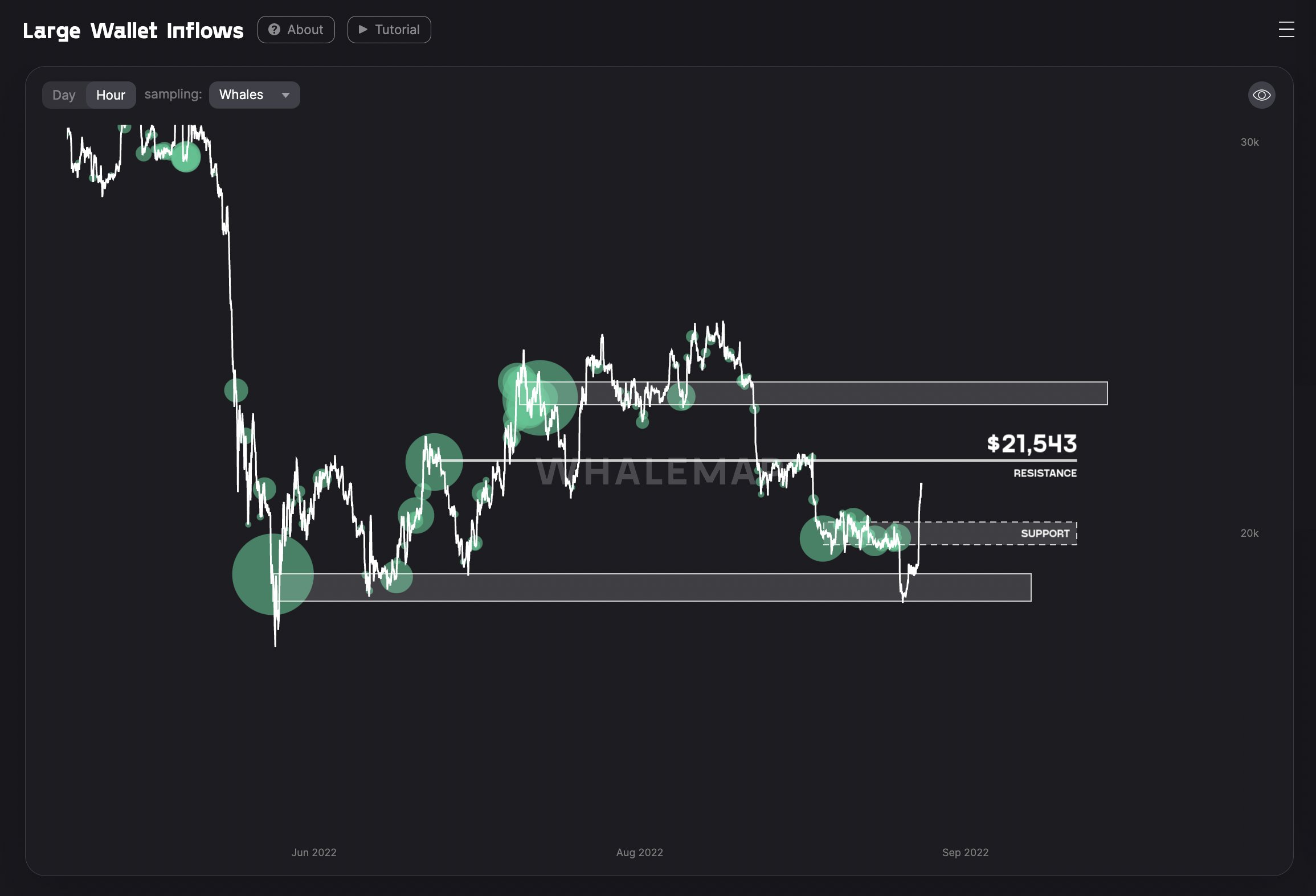 Giá Coin hôm nay 11/9: Bitcoin đang tìm cách lật $21.543 thành hỗ trợ, altcoin nhấp nháy tín hiệu hỗn hợp khi giới đầu tư lo ngại về hậu quả của việc tăng lãi suất