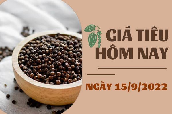 Giá tiêu hôm nay 15/9: Đồng loạt đi ngang; cao su biến động trái chiều