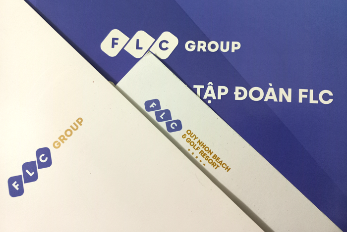 FLC thay đổi công ty kiểm toán báo cáo tài chính 2021