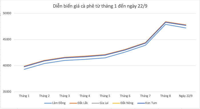 Giá cà phê hôm nay 22/9: Giảm 200 đồng/kg tại thị trường nội địa