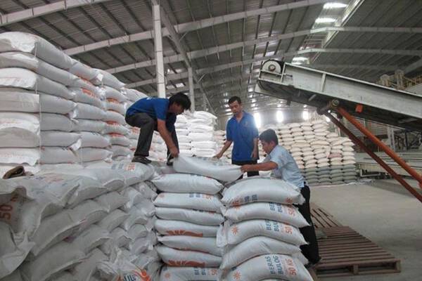 Dự báo xuất khẩu gạo sẽ đạt khoảng 6,3-6,5 triệu tấn trong năm 2022