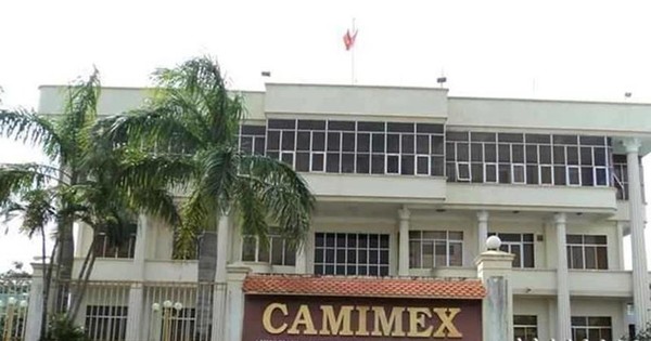 Camimex Group (CMX) bị phạt 310 triệu đồng
