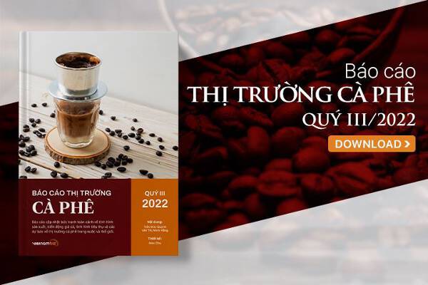[Báo cáo] Thị trường cà phê quý III/2022: Giá cà phê giảm mạnh vào cuối quý