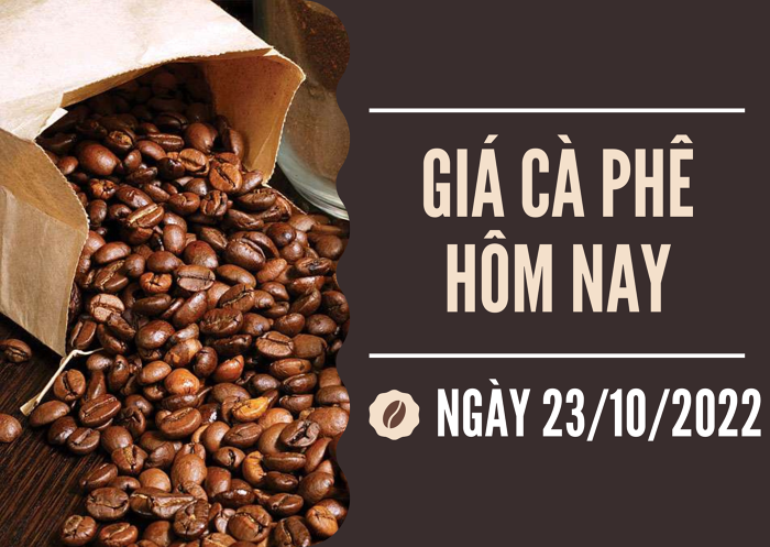 Giá cà phê hôm nay 23/10: Sụt giảm hơn 1.000 đồng/kg trong tuần qua