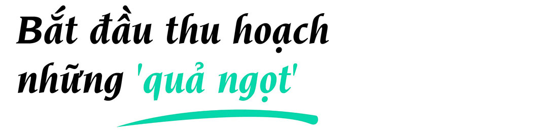 Doanh nghiệp Việt gian nan đi làm dâu xứ người