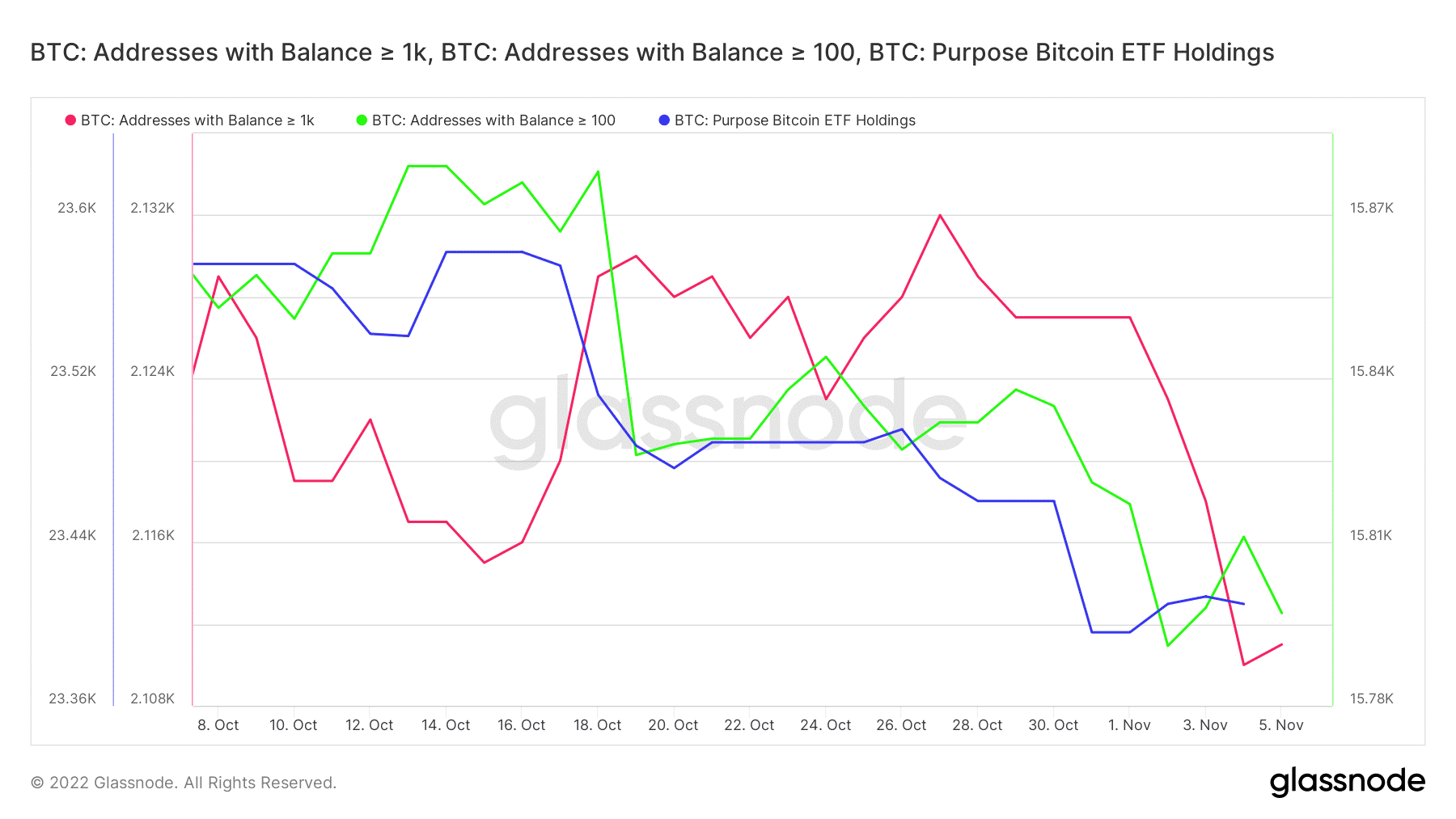 Bitcoin có thể đứng trước bờ vực bán tháo khác khi BTC chạm mức thấp nhất trong 4 tuần