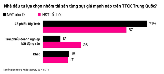 Triển vọng vẫn chưa rõ ràng nhưng nhóm cổ phiếu này đang trở thành mục tiêu của các nhà đầu tư FOMO