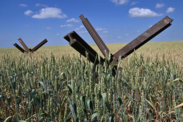 Ukraine và các đối tác triển khai kế hoạch xuất khẩu ngũ cốc trị giá 150 triệu USD