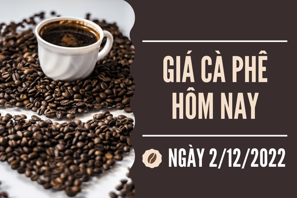 Giá cà phê hôm nay 2/12: Tiếp tục tăng nhẹ 100 đồng/kg
