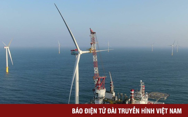 Việt Nam nhiều tiềm năng trở thành trung tâm của châu Á - Thái Bình Dương về điện gió ngoài khơi
