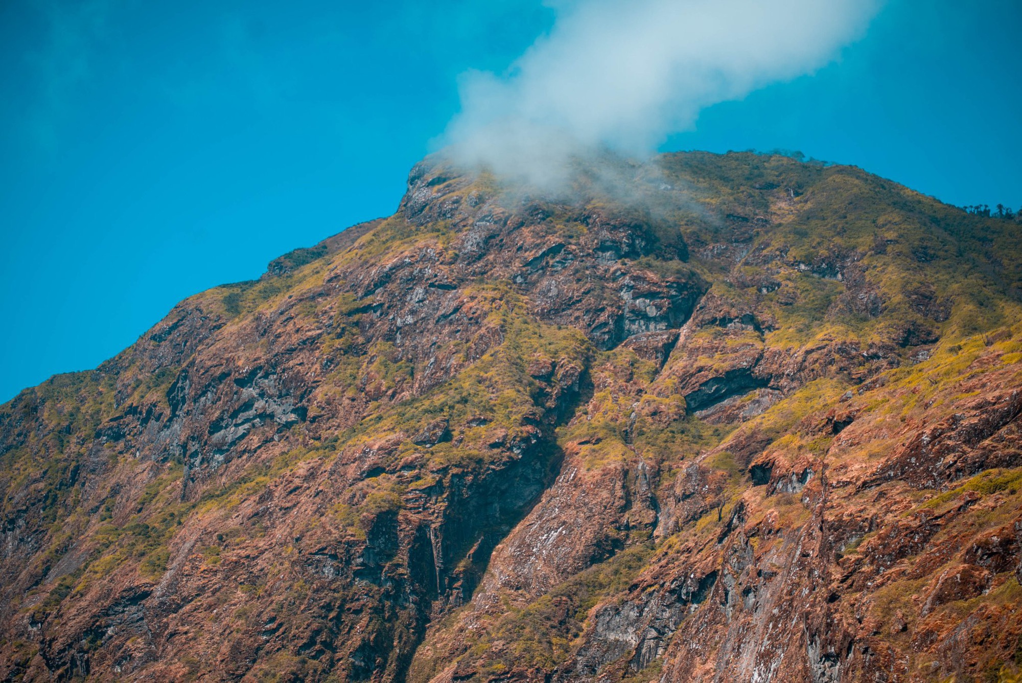 Mùa lá phong rực sắc đỏ vàng trên cung đường trekking ấn tượng ngay tại Việt Nam