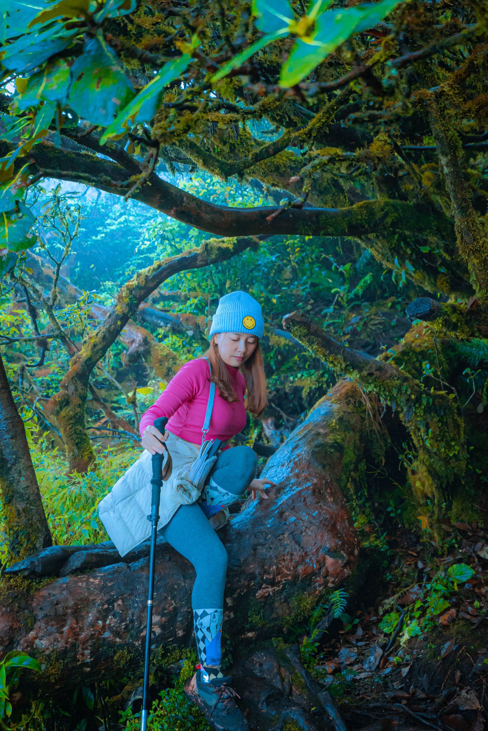 Mùa lá phong rực sắc đỏ vàng trên cung đường trekking ấn tượng ngay tại Việt Nam