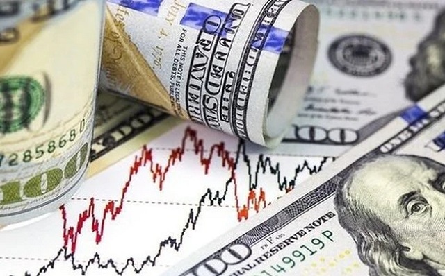 Năm bất thường của USD