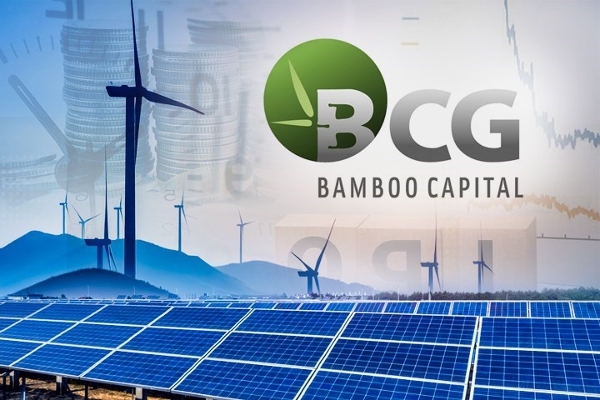 Bamboo Capital đổi phương án sử dụng vốn đợt chào bán gần 267 triệu cp, giảm gần 1.000 tỷ góp vốn vào Bảo hiểm AAA