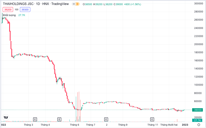 Thaiholdings thay CEO