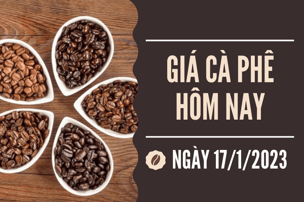 Giá cà phê hôm nay 17/1: Quay đầu giảm nhẹ 100 đồng/kg
