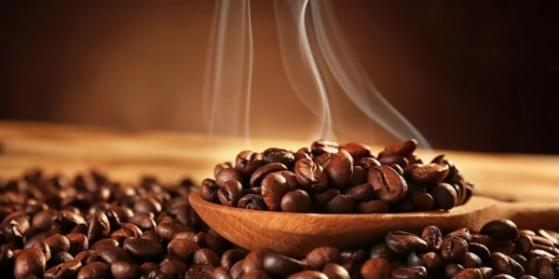 Giá cà phê hôm nay 20/1: Cao nhất 40.900 đồng/kg