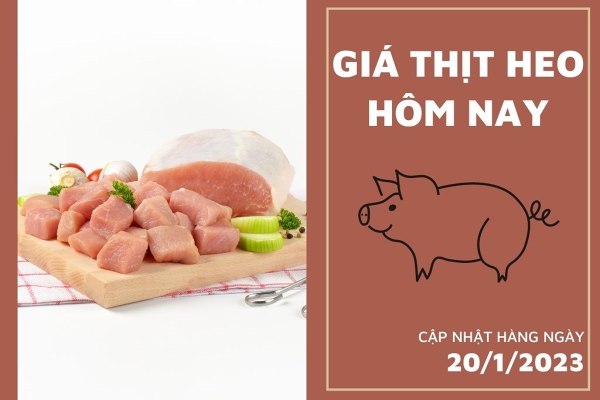 Giá thịt heo hôm nay 20/1: Nạc dăm WinMart đạt mức 126.320 đồng/kg