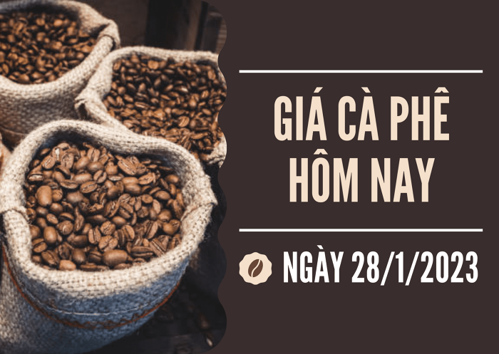 Giá cà phê hôm nay 28/1: Thị trường nội địa tiếp tục tăng 800 đồng/kg