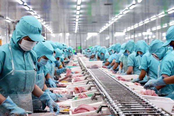 Xuất khẩu thủy sản sang Trung Quốc có thể tăng trưởng chậm trong nửa đầu năm 2023