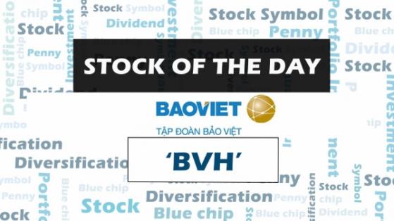 Mua gì hôm nay? BVH “vơi gánh” dự phòng, tăng trưởng vững vàng