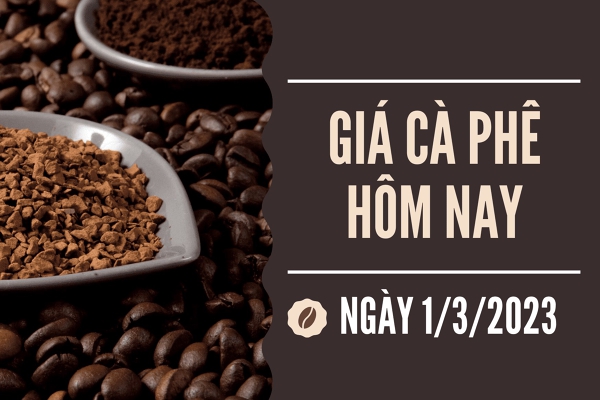 Giá cà phê hôm nay 1/3: Tăng 100 đồng/kg tại các tỉnh trọng điểm