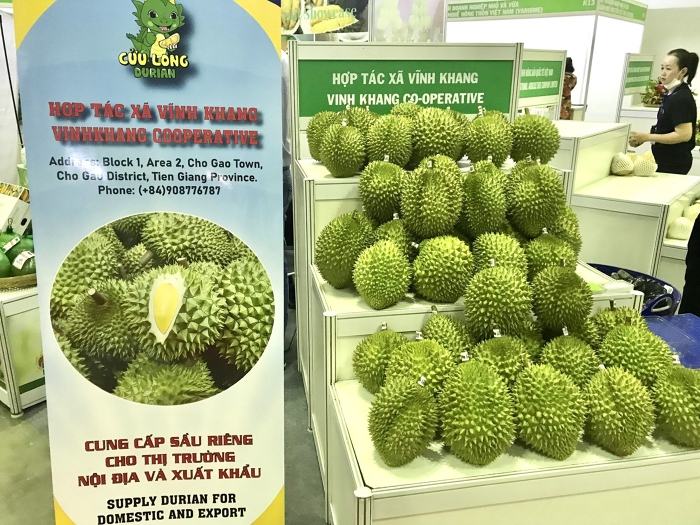 Đơn hàng lớn, tiềm năng cao nhưng sầu riêng xuất khẩu đang thiếu vé thông hành