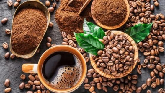 Giá cà phê hôm nay 4/3: Cao nhất 48.300 đồng/kg