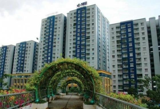 Năm Bảy Bảy (NBB) chào bán 50 triệu cổ phiếu với mức giá đắt hơn thị trường 18%